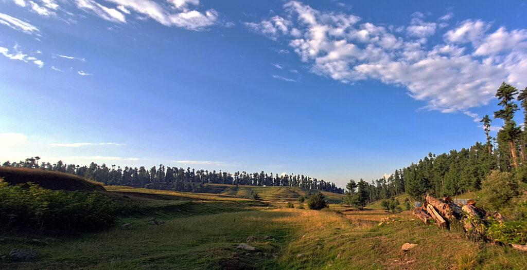 Ringal Wali- Kashmirs Hidden Gem