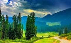Doodhpathri Valley Meadows