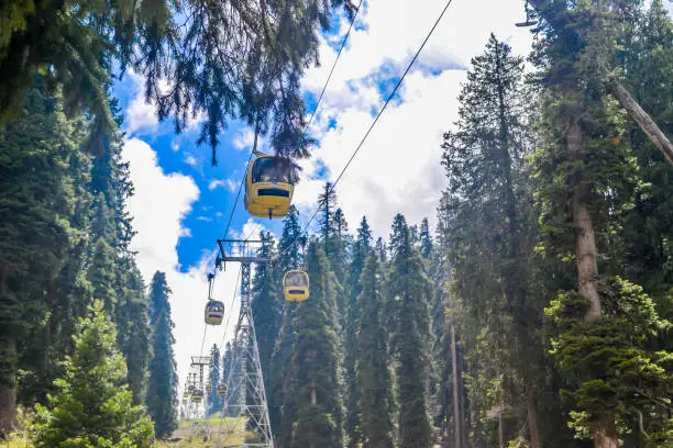 Gulmarg Valley Meadows & Gondola