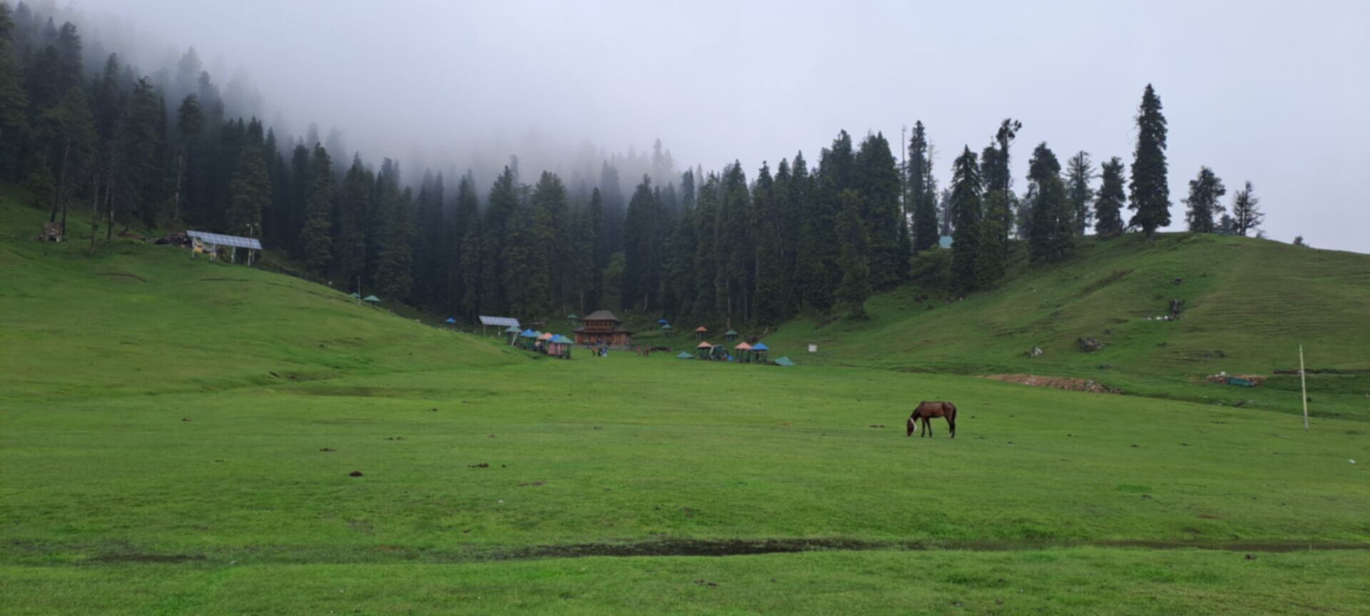 Gulmarg landscape during a Kashmir winter tour