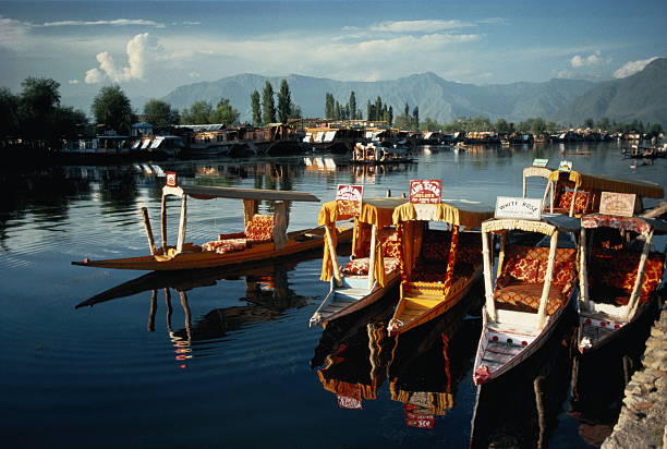 Kashmir Summer Tour