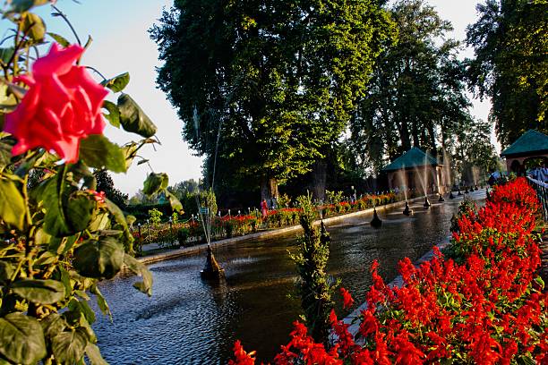 Kashmir Valley Circuit 6 Days