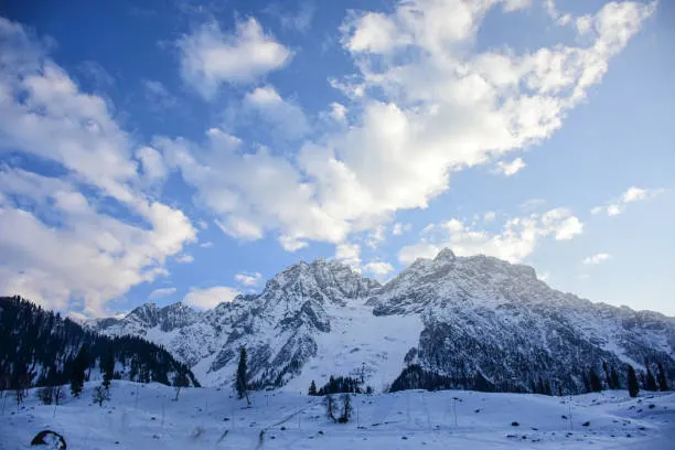 Kashmir Tour Operator Managing Winter Trip