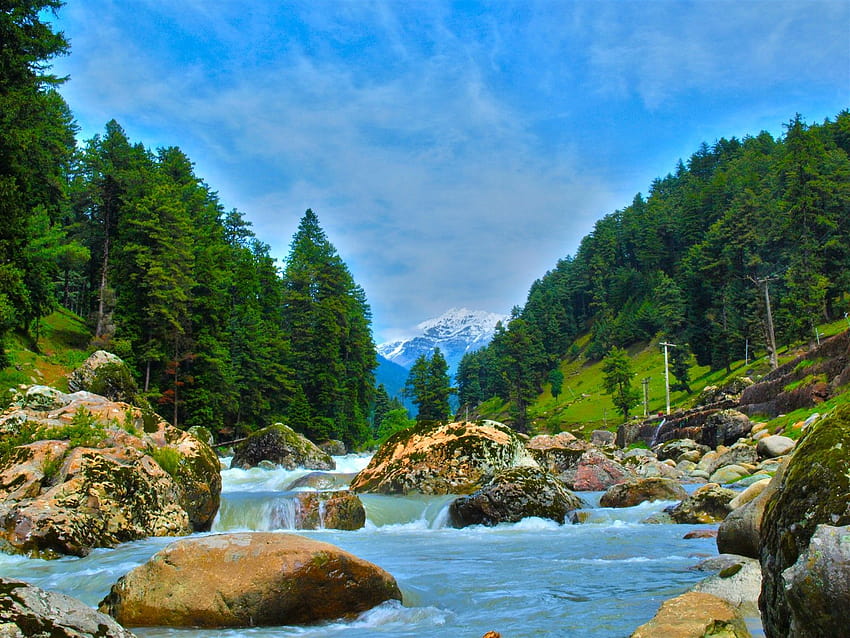 7 Days Kashmir & Gulmarg Tour from Chennai