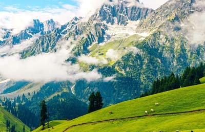 holiday packages to sonmarg kashmir